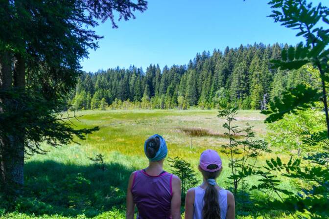 Blick auf das verlandete Hochmoor Weißensee