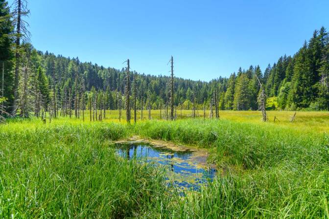 Der Weißensee im Naturpark Trudner Horn