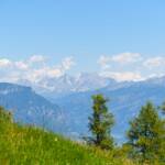 Hornalm Ausblick, Palagruppe