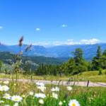 Fleimstal, Hornalm, Hornalm Ausblick, Val di Fiemme