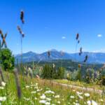 Corno Bianco, Corno nero, Fleimstal, Hornalm, Hornalm Ausblick, Schwarzhorn, Val di Fiemme, Weisshorn, Weißhorn, Zwillingsberge