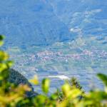 Termeno, Tramin