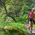 Alpinsteig, Wanderpfad