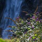 Partschinser Wasserfall, Wasser, Wasserfall