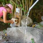 Brunnen, Wasser