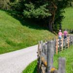 Aldein, Mühlenweg, spazieren, spazieren gehen