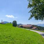 Aldein, Altwidum, Bauerngehöft, Bauernhaus, Bauernhof, Gehöft, Gehöfte, Hof, Hofstelle, cascina, farm, farm building, farmstead, fattoria, grange, homestead, masseria