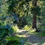 Aldein, Mühlenweg