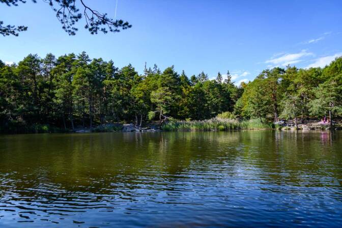 Der Aldeiner Göllersee