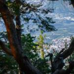 Blick auf Leifers
