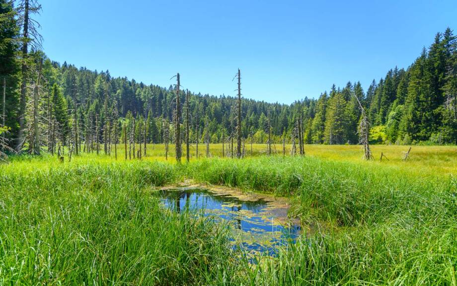 Weißensee