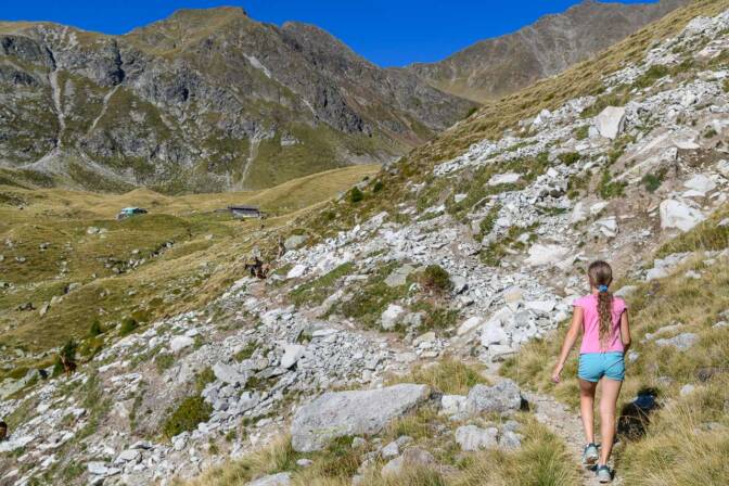Auf dem Weg zur Anteranalm durch die alpine Weidelandschaft