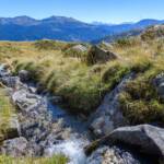 Bach, Wasser