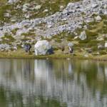 Bergsee, Kratzberger See