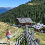 Alm, Kaserwiesalm, Matte, Weide, wandern