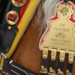 Folklore, Sarner Kirchtag, Sarntal, Sarnthein, Trachtenumzug