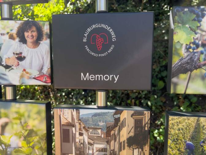 Memory Spiel am Blauburgunderweg