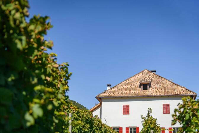 Blick durch die Weinberge auf die Südwestfront des architektonisch wunderbaren Alten Widums in Söll.