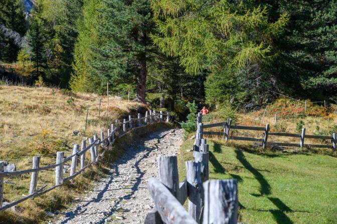 Ein schöner Naturzaun begleitet uns, leider nur wenige Meter